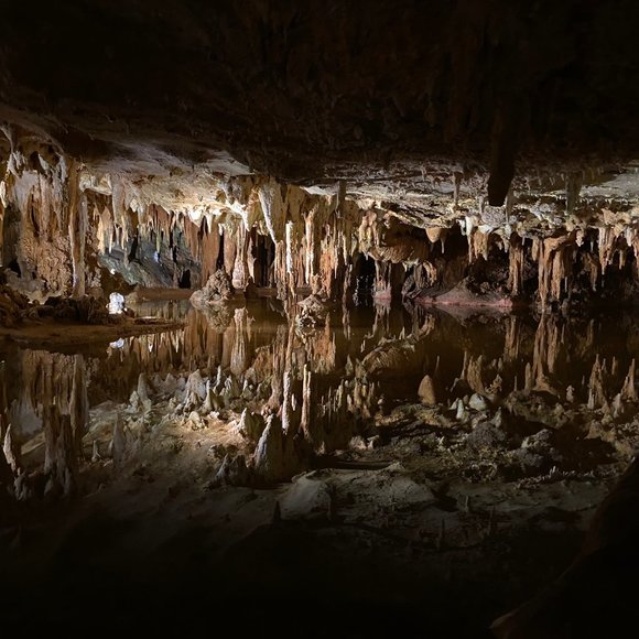 🎤Meet the Posher - Picture 3 of 3